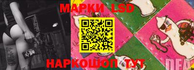 спиды Славгород