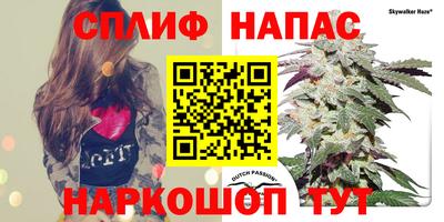 PSILOCYBIN Славянск-на-Кубани