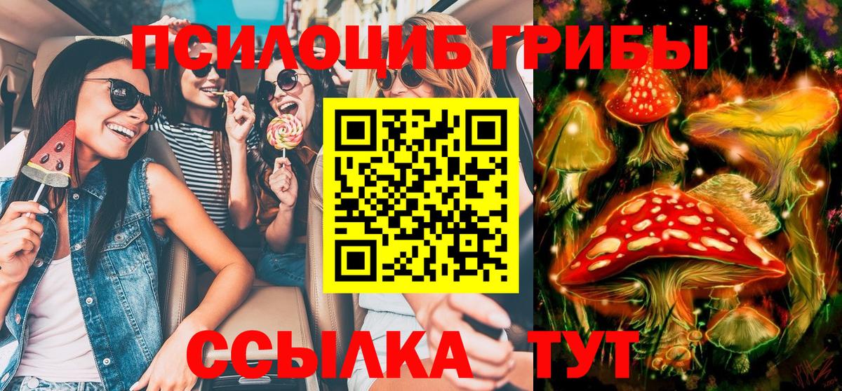 Псилоцибиновые грибы MAGIC MUSHROOMS Новошахтинск