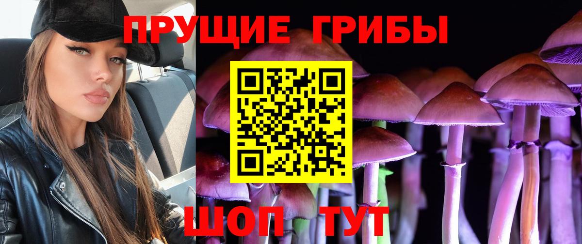 Новошахтинск  Псилоцибиновые грибы MAGIC MUSHROOMS  Галлюциногенные грибы мухоморы  Вход с VPN 